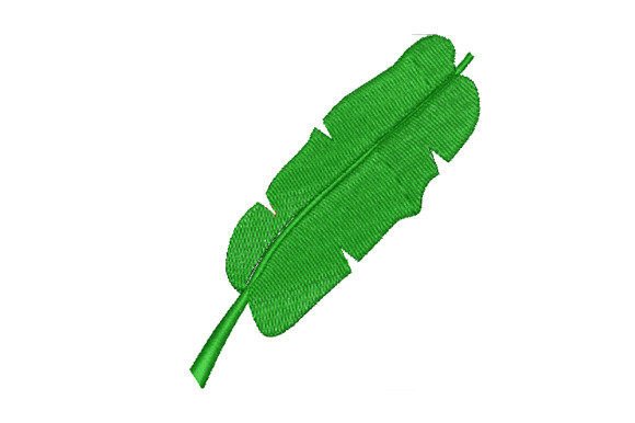 Green Banana Leaf Design Review for Business Use