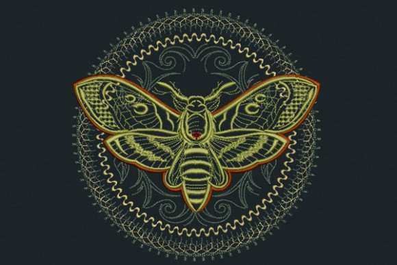 Moth Mandala: A Designer's Real-World Review